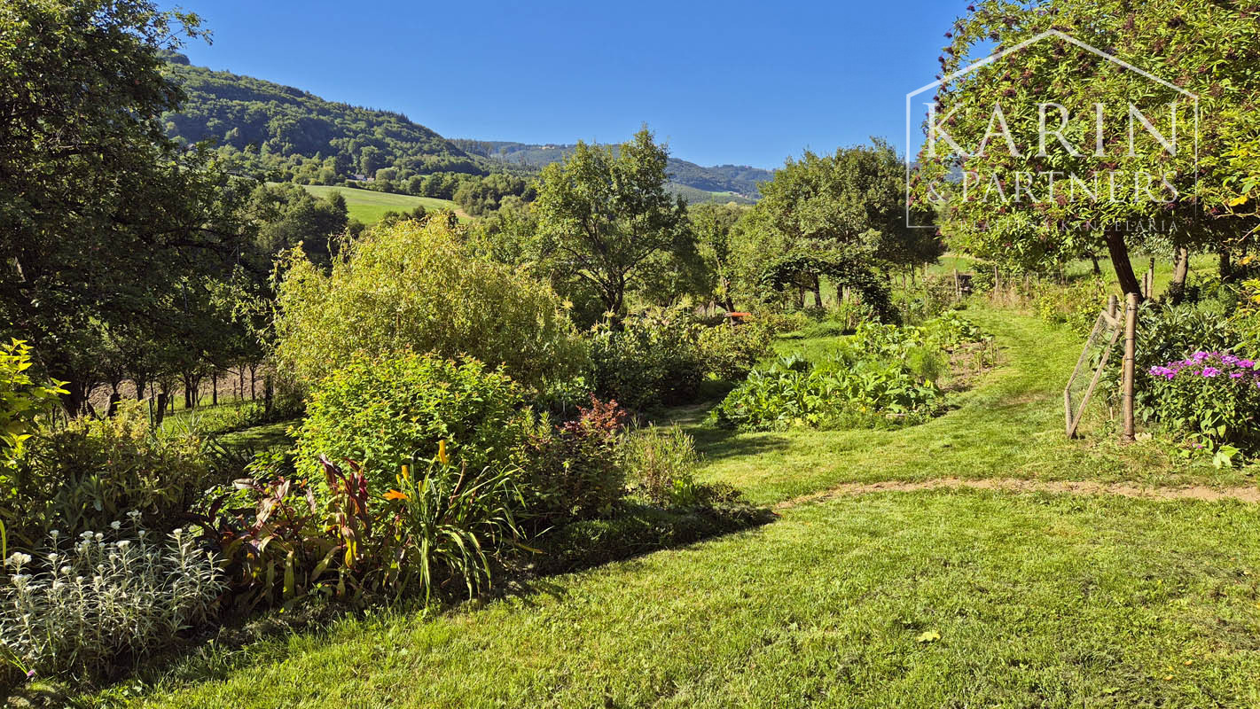 Chalupa pod lesom s ovocným sadom, 4144 m2, Nová Bošáca.