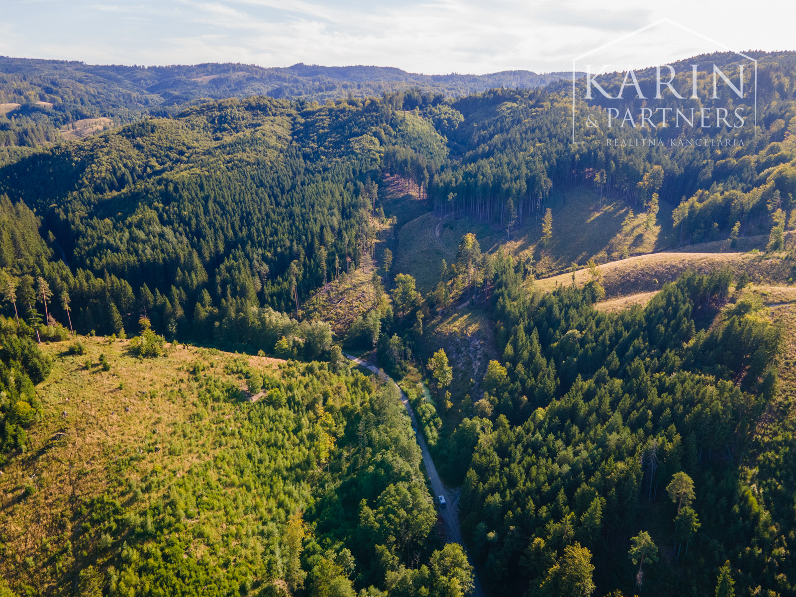 HOSPODÁRSKY LES V OBCI BUDIŠ V OKRESE TURČIANSKE TEPLICE
