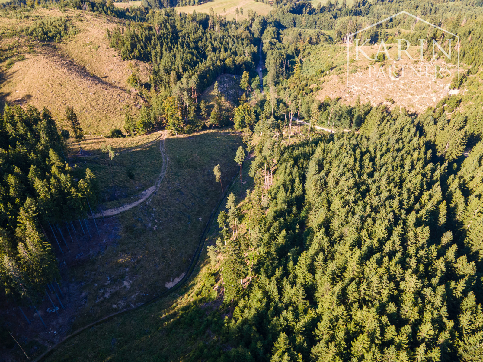 HOSPODÁRSKY LES V OBCI BUDIŠ V OKRESE TURČIANSKE TEPLICE