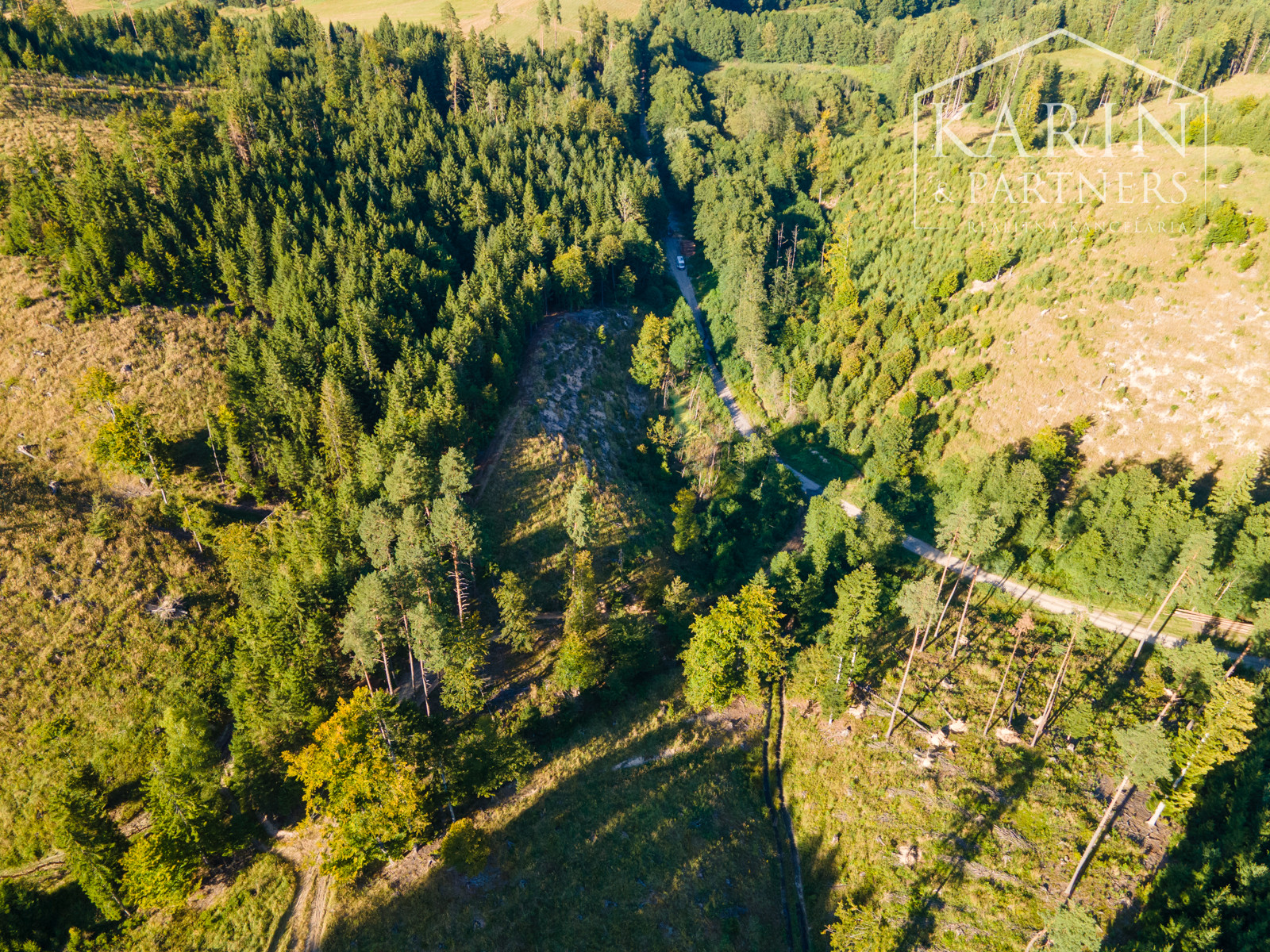 HOSPODÁRSKY LES V OBCI BUDIŠ V OKRESE TURČIANSKE TEPLICE