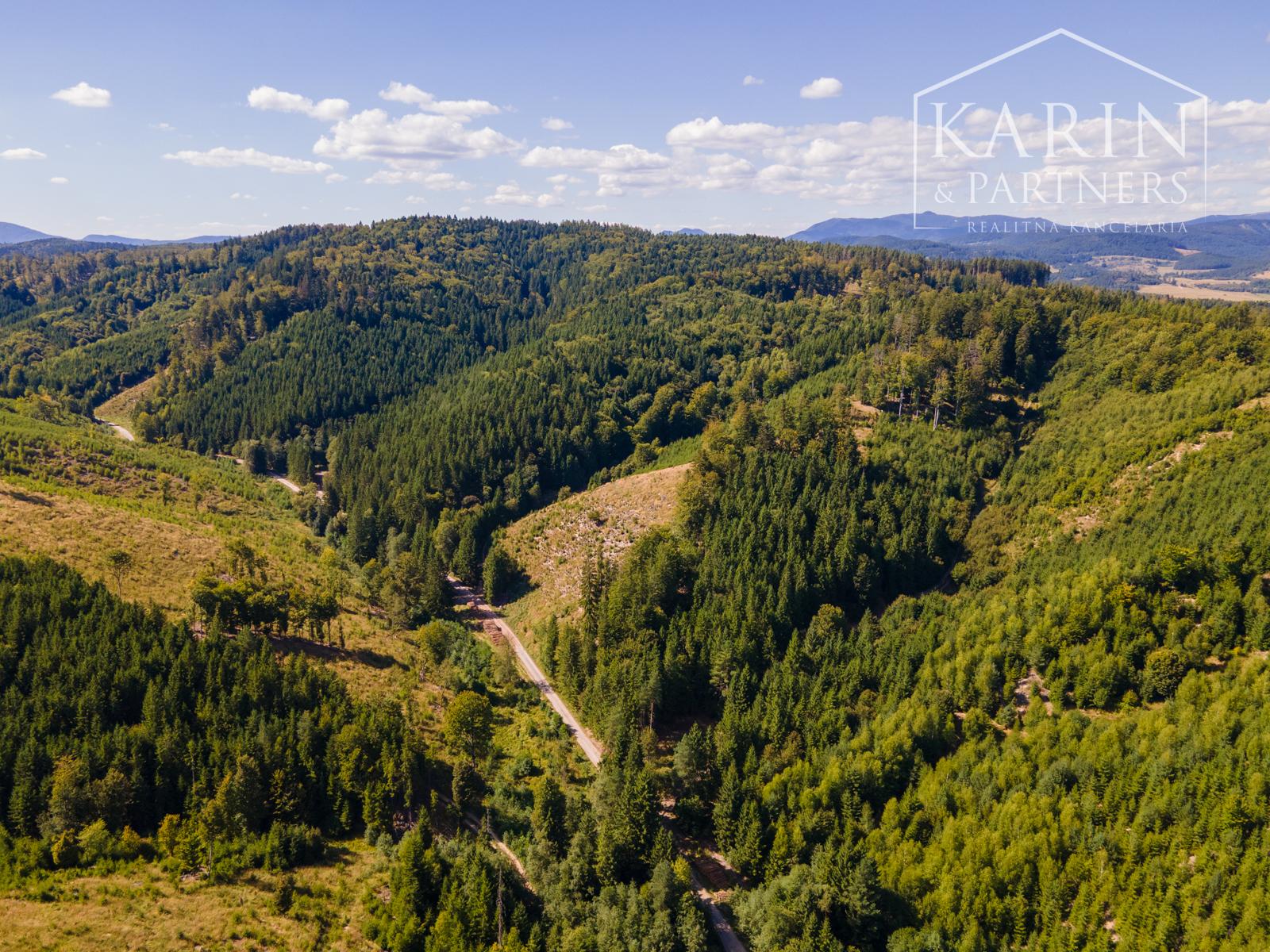 HOSPODÁRSKY LES V OBCI BUDIŠ V OKRESE TURČIANSKE TEPLICE