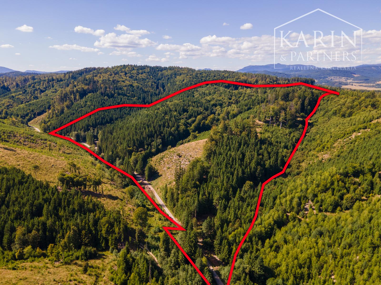 HOSPODÁRSKY LES V OBCI BUDIŠ V OKRESE TURČIANSKE TEPLICE