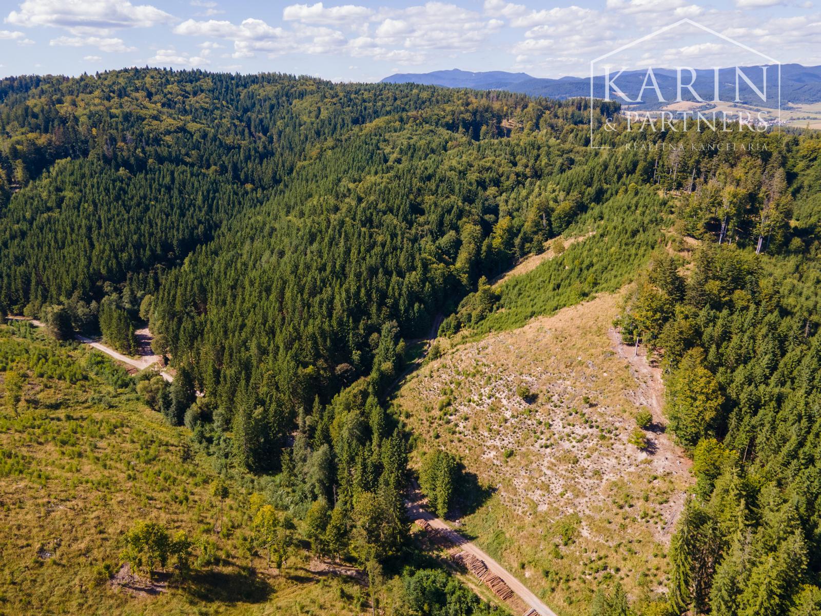 HOSPODÁRSKY LES V OBCI BUDIŠ V OKRESE TURČIANSKE TEPLICE