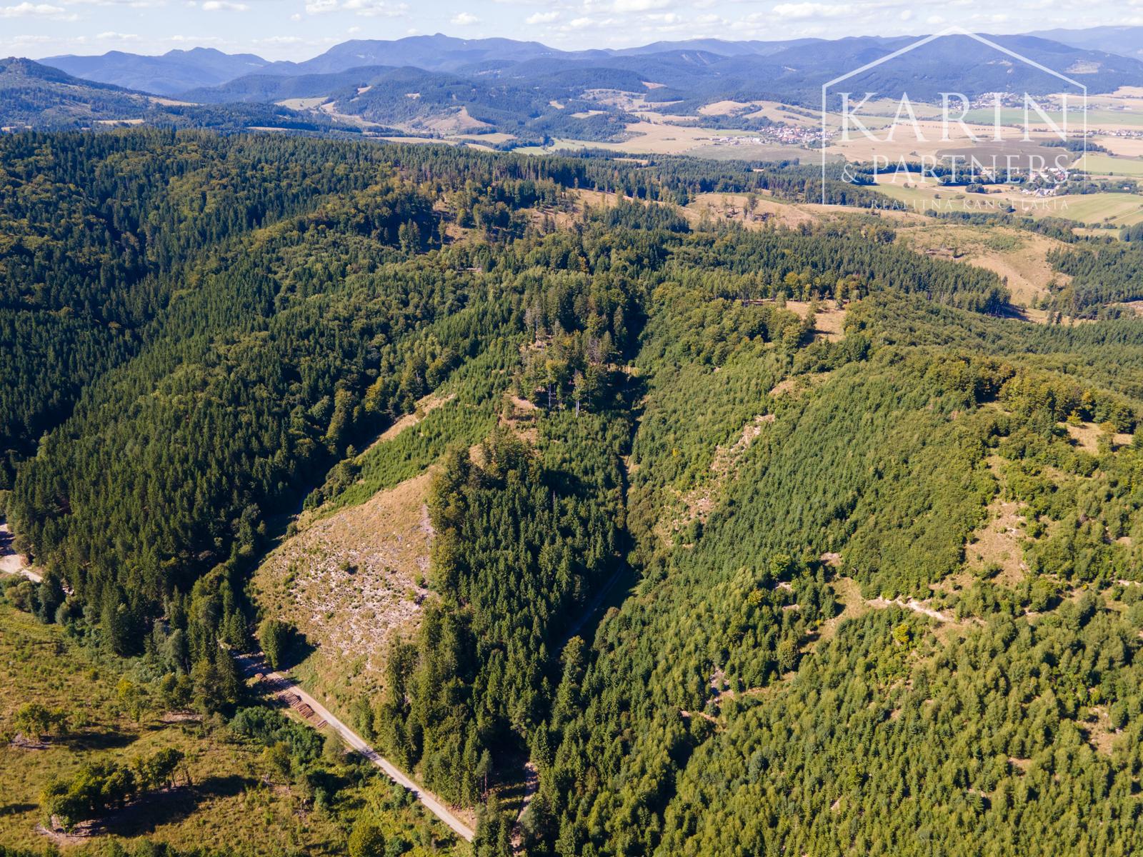 HOSPODÁRSKY LES V OBCI BUDIŠ V OKRESE TURČIANSKE TEPLICE