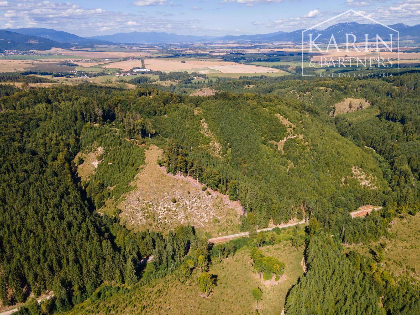 HOSPODÁRSKY LES V OBCI BUDIŠ V OKRESE TURČIANSKE TEPLICE