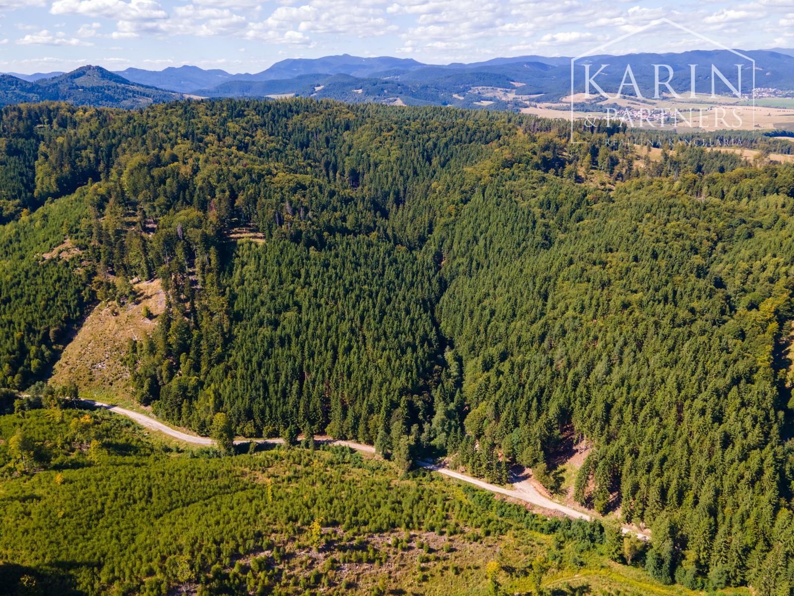 HOSPODÁRSKY LES V OBCI BUDIŠ V OKRESE TURČIANSKE TEPLICE