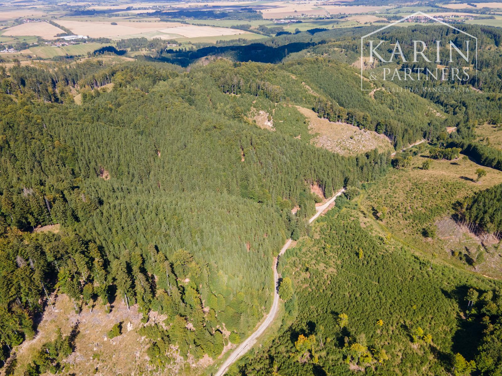 HOSPODÁRSKY LES V OBCI BUDIŠ V OKRESE TURČIANSKE TEPLICE