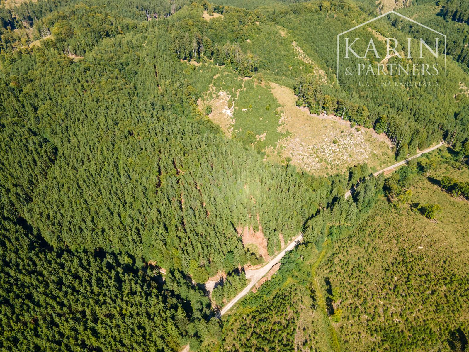 HOSPODÁRSKY LES V OBCI BUDIŠ V OKRESE TURČIANSKE TEPLICE