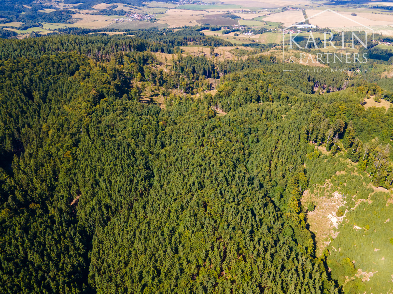 HOSPODÁRSKY LES V OBCI BUDIŠ V OKRESE TURČIANSKE TEPLICE