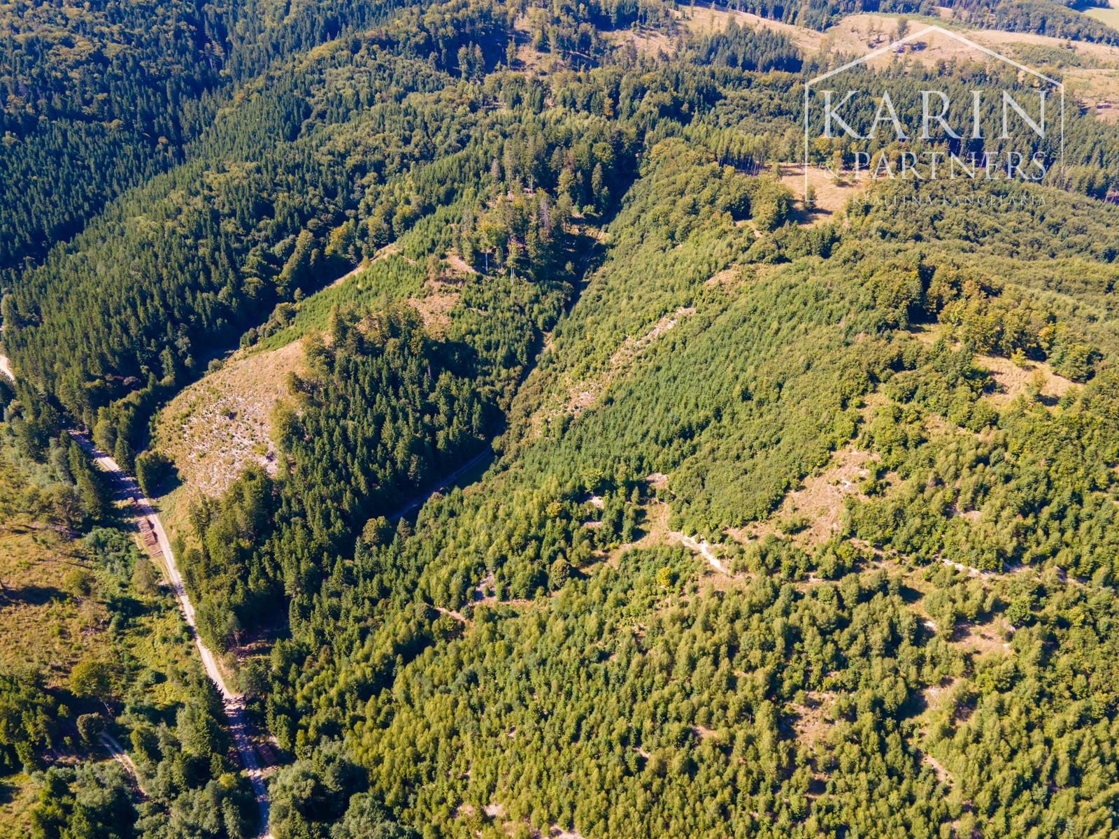 HOSPODÁRSKY LES V OBCI BUDIŠ V OKRESE TURČIANSKE TEPLICE