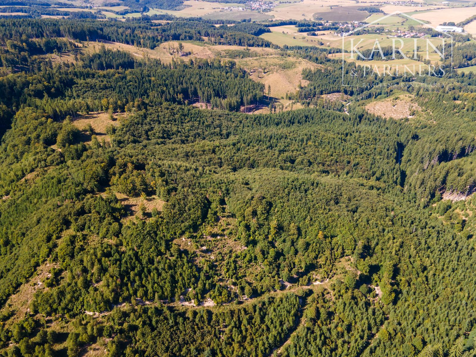 HOSPODÁRSKY LES V OBCI BUDIŠ V OKRESE TURČIANSKE TEPLICE