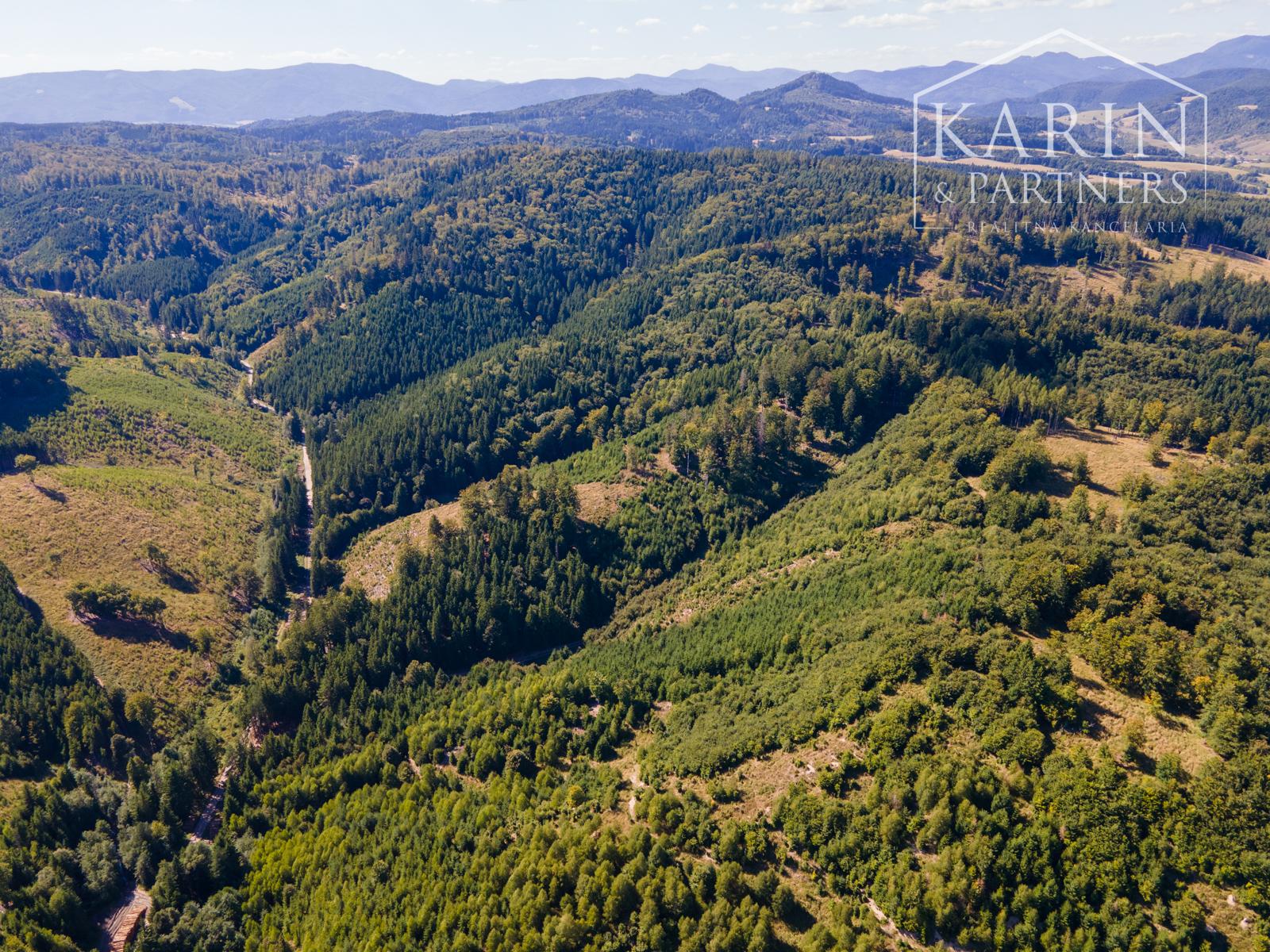 HOSPODÁRSKY LES V OBCI BUDIŠ V OKRESE TURČIANSKE TEPLICE