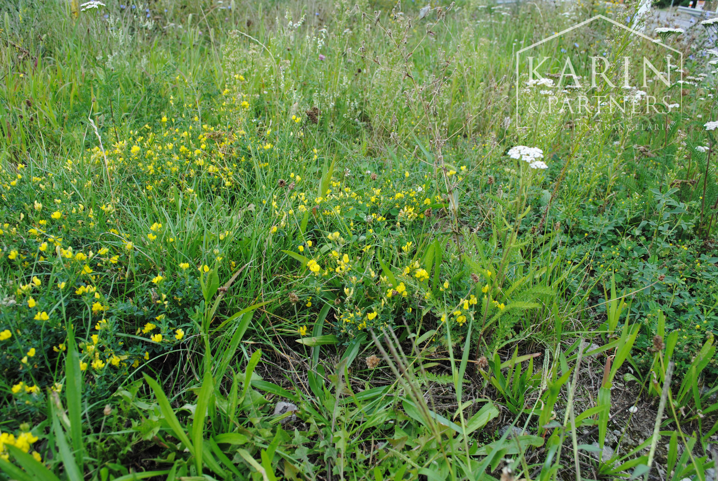 VEĽKÝ ROVINATÝ POZEMOK V PODBREZOVEJ V ČASTI LOPEJ