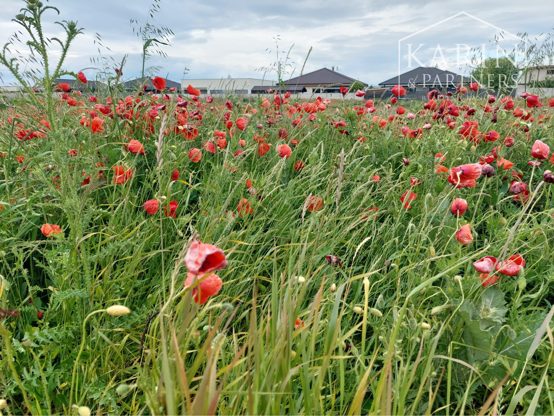 Stavebný pozemok 1 072 m2  -  Hrubá Borša okr. Senec