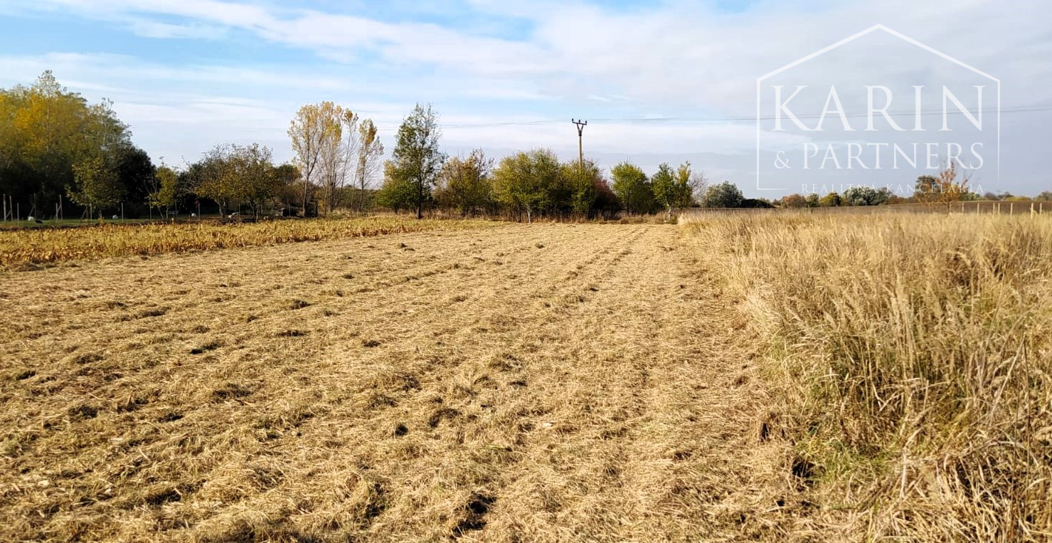 EXKLUZÍVNE len u Nás: Predaj záhrady, odčlenenej novozameranej parcely v obci Palárikovo, vo výmere cca.1500m2