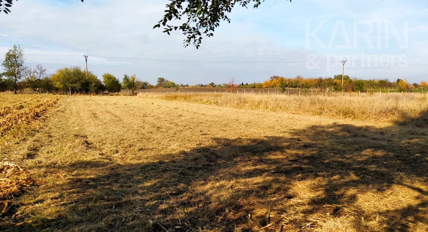 ***Nová cena*** EXKLUZÍVNE len u Nás: Predaj záhrady, odčlenenej novozameranej parcely v obci Palárikovo, vo výmere cca.1500m2
