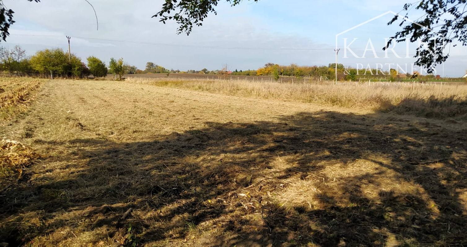 EXKLUZÍVNE len u Nás: Predaj záhrady, odčlenenej novozameranej parcely v obci Palárikovo, vo výmere cca.1500m2