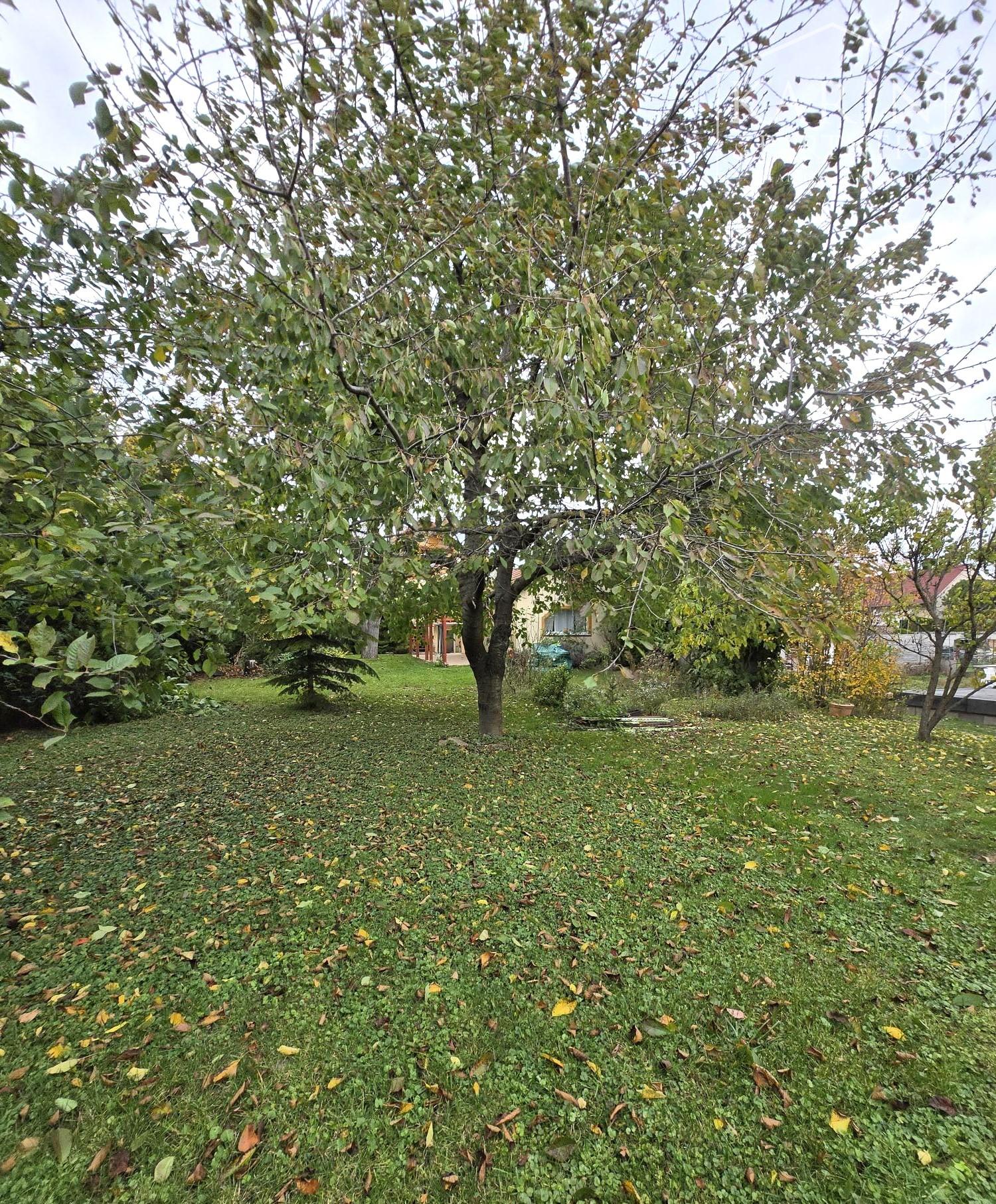 Predaj - 5 izbový, dvojgeneračný rodinný dom - Rajka Maďarsko