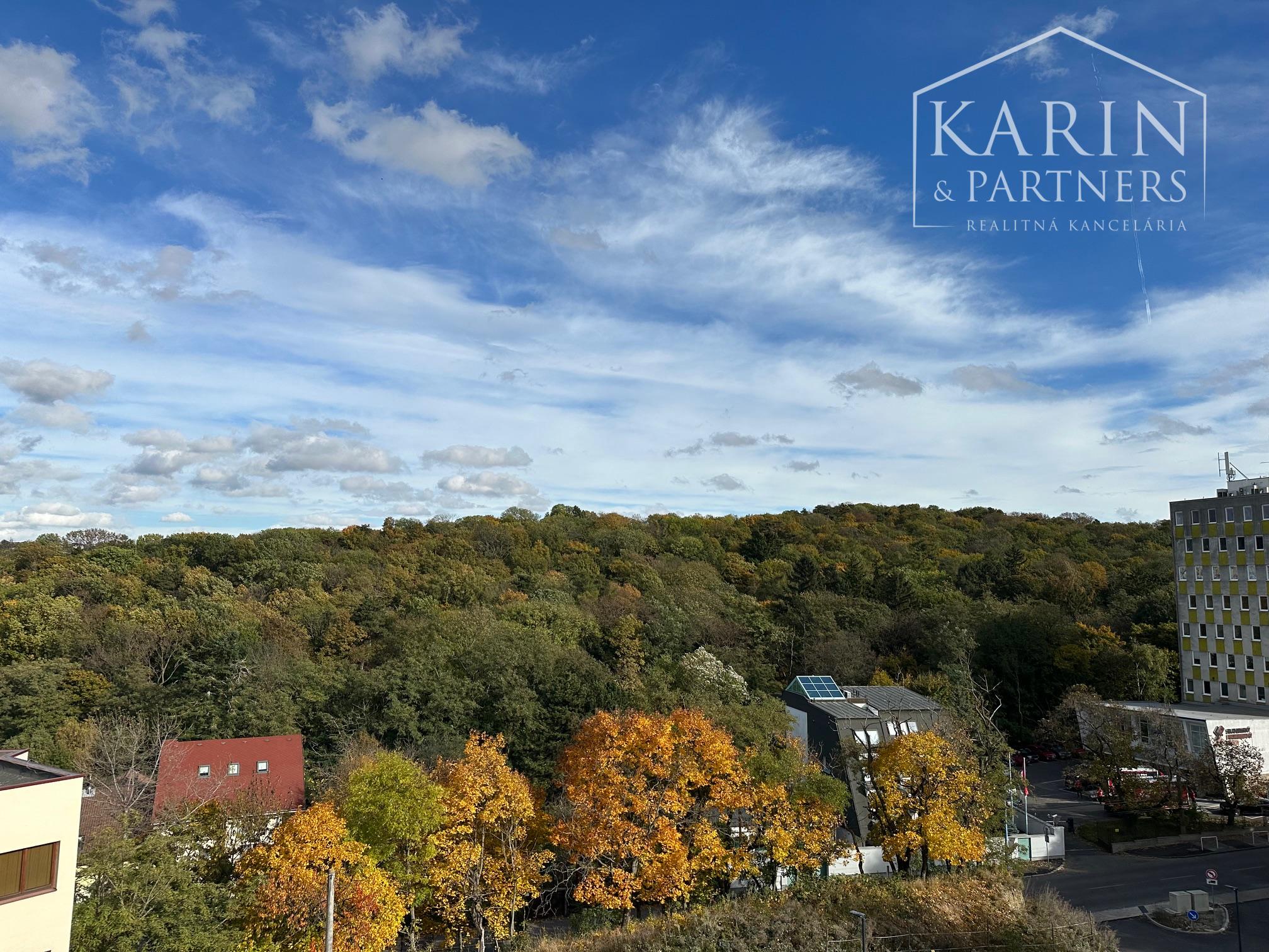4 izbový byt pri Horskom parku na predaj