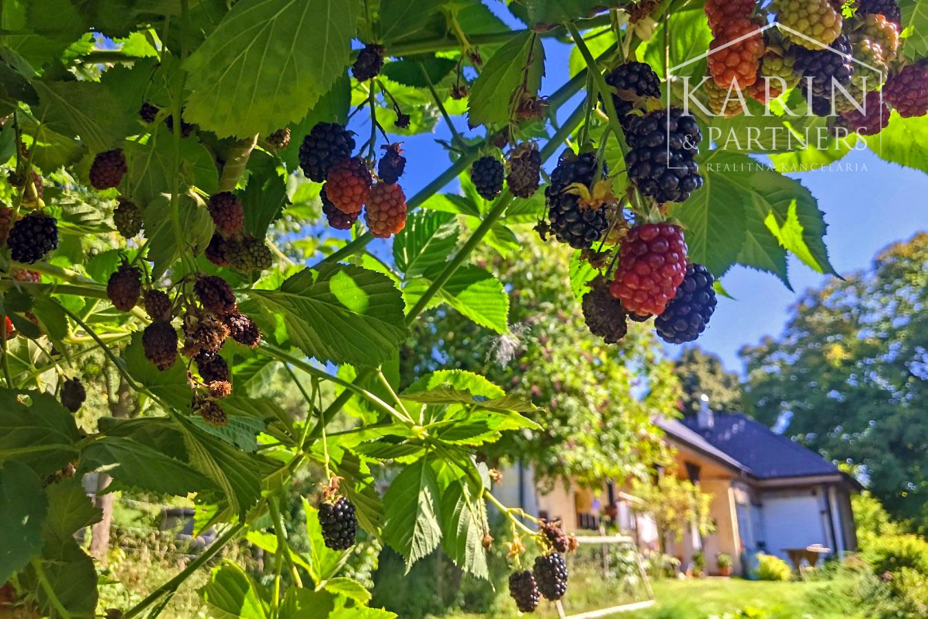 Chalupa pod lesom s ovocným sadom, 4144 m2, Nová Bošáca.