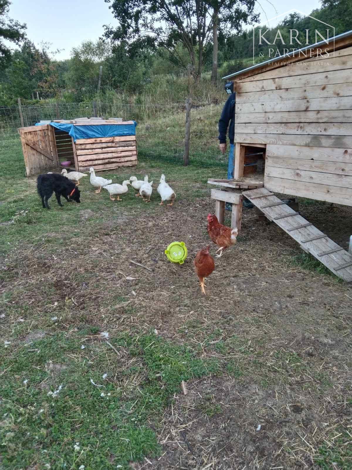 EXKLUZÍVNA FARMA NA SAMOTE – 33 000 m², NOVOSTAVBA DOMU, ABSOLÚTNE SÚKROMIE | HORNÉ PLACHTINCE | OKRES VEĽKÝ KRTÍŠ