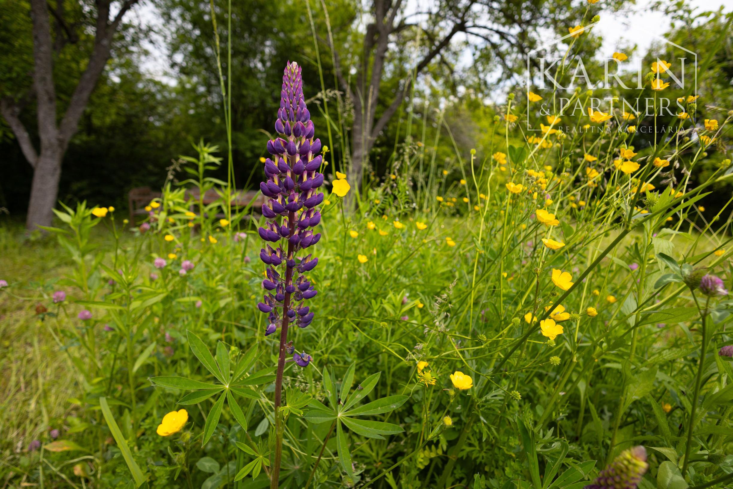 Relax v Žiranoch: Záhrada s dušou