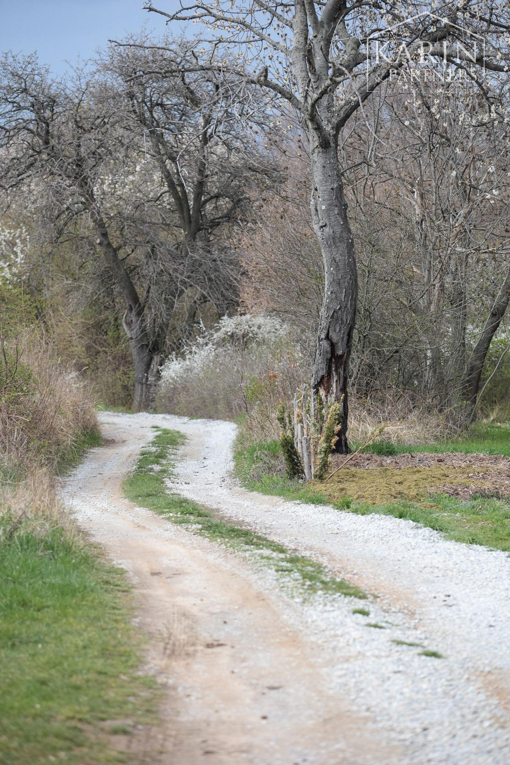 Relax v Žiranoch: Záhrada s dušou